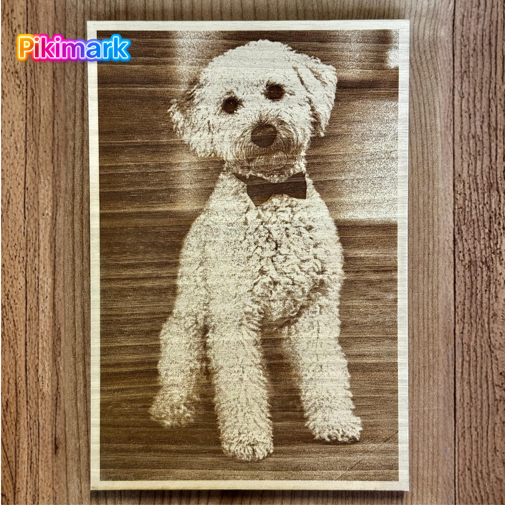 Amico a quattro zampe